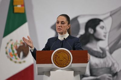 Mexican President Sheinbaum Rejects Claim From DHS That She Was Encouraging Violence in Immigration Protests: 'Absolutely False'
