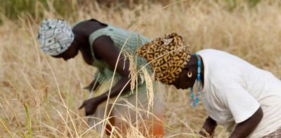 African women entrepreneurs are a smart bet for climate change investment: research shows why
