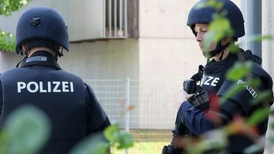 What we know about the gunman who killed 10 in Austria school shooting