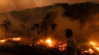European Court of Auditors flags inefficiencies in EU wildfire spending