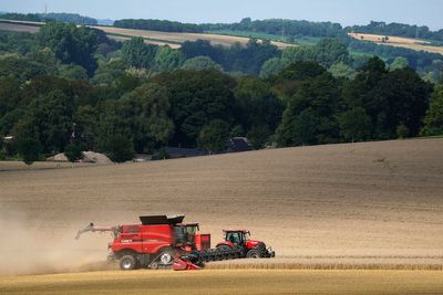 Reeves protects nature-friendly farming budget amid squeeze on environment spend