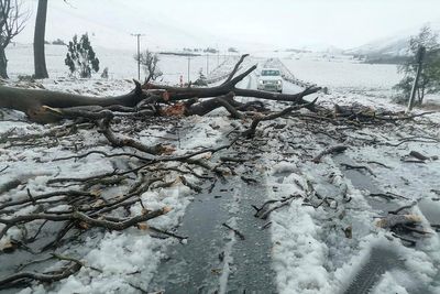 At least 49 people have died in flooding in South Africa, officials say