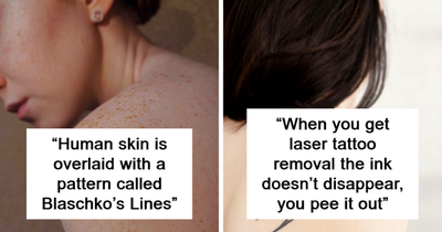 10 Cool But Pretty Disturbing Facts About The Human Body That Not Many People Know About