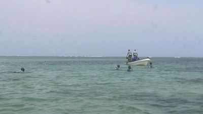 Rescue operation launched after eight migrants die off coast of Djibouti, IOM says