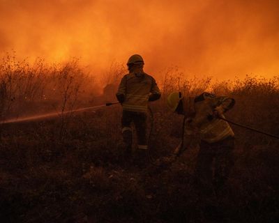 Funds to tackle Europe’s forest fires poorly targeted, says EU watchdog