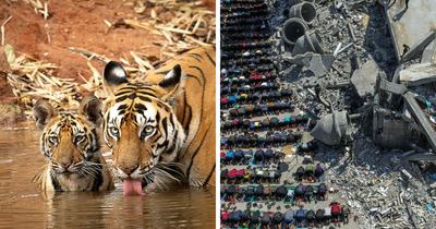 1839 Photography Awards: 24 Winning Color Shots Worth Seeing