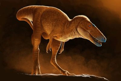 Newly discovered ‘Dragon Prince’ dinosaur rewrites family history of T rex