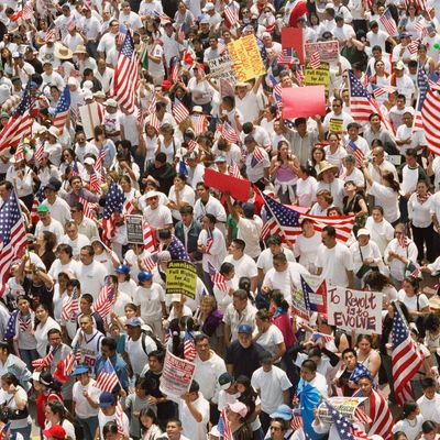 Los Angeles Uprises as Immigrants, Families, and Allies Protest Against Trump’s Crackdown
