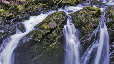 Rescue crews issue update on recovery efforts for body of teenage hiker who died after falling 50ft into popular Olympic National Park waterfall