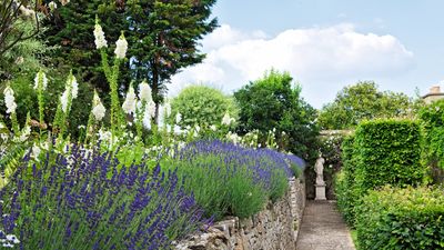 Are your blooms looking lacklustre? Your soil may be lacking in this one vital nutrient. Here are 5 ways to add nitrogen to your soil for prolific, healthy plants