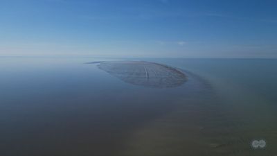 Russian scientists discover a new island in the Caspian Sea — the world's largest inland body of water