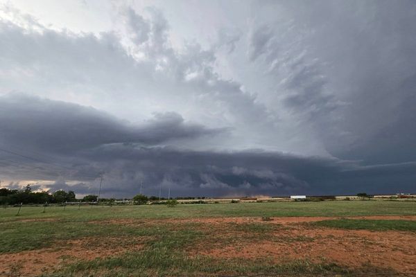 Two people killed by falling trees and thousands without power after storms sweep southern states