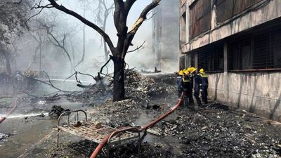 One survivor as 241 people killed in Air India plane crash, officials say
