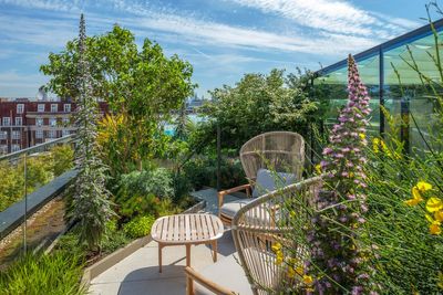 Big ideas for tiny London gardens: mirrors, large plants — and black painted fences