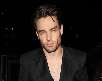 ‘Don’t try to keep the dead alive’ – Liam Payne’s new Netflix show can only be totally creepy TV … right?