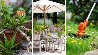 7 ways to keep cool in the garden: from 'shadescaping' to lawn maintenance