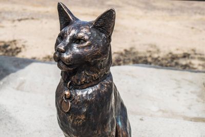 Community crowdfunds statue for celebrity cat Hendrix