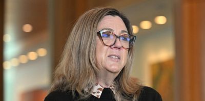 Politics with Michelle Grattan: Senator Tammy Tyrrell on wild days in Tasmania