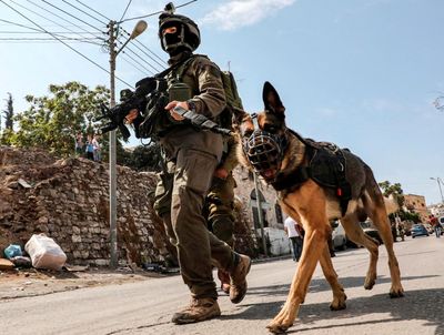 Attack dogs: how Europe supplies Israel with brutal canine weapons