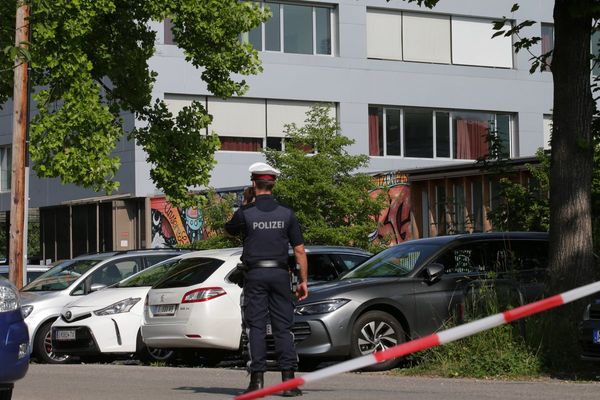 Austrian school shooter an introverted fan of online shooting games, say police