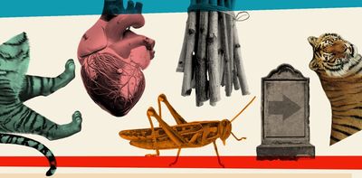 5 great reads by South African writers from 30 years of real-life stories