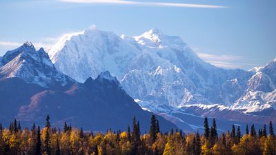America's highest peak sees second death in 6 days as skier buried in massive avalanche