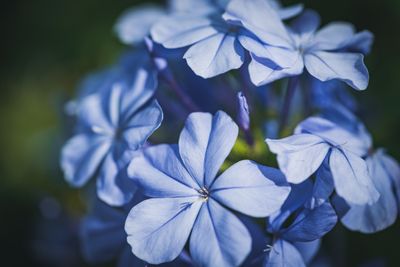 8 Beautiful Ways to Memorialize a Loved One