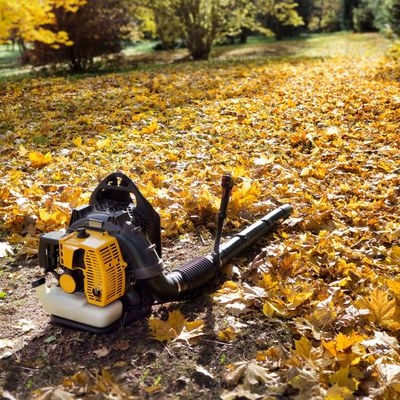 Don't confuse a leaf blower with a leaf vacuum – this is how to choose the right one for clearing small and large gardens quickly and easily