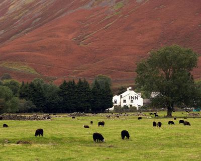 Sheep farming is integral to the Lake District’s heritage