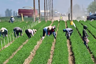 Trump admits his anti-immigration agenda is hurting farmers and hotels: ‘Taking very good workers away’
