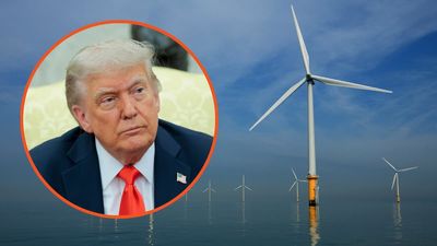 Trump says windmills are killing the country and are ‘littered’ everywhere. Has he ever actually seen one?