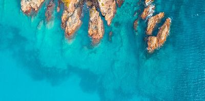 NZ has a vast sea territory but lags behind other nations in protecting the ocean