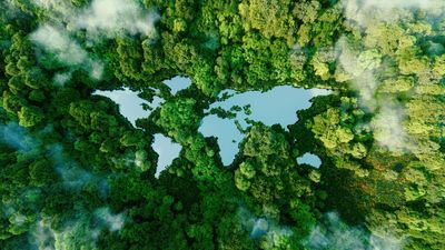 How IT companies can build a greener future