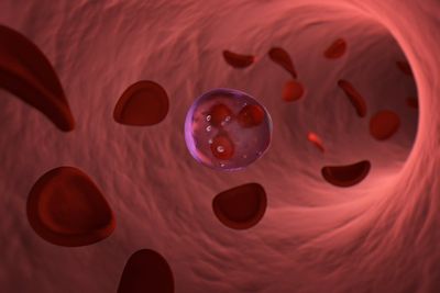 NHS green lights ‘Trojan horse’ treatment that attacks cancer cells from inside