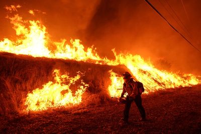Trump moves to merge wildland firefighting into single force, despite ex-officials warning of chaos
