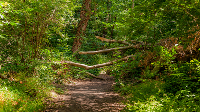 'Waze, but for walkers' - steer clear of hazards while you hike with OS Maps' new Community Alerts real-time hazard reporting tool