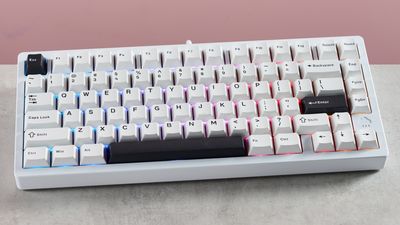 I tested the Wobkey Rainy 75 Pro and loved how easy it was to type with, but I wasn’t a fan of its software