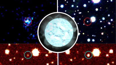 Missing link star? Why this 'teenage vampire' white dwarf has scientists so excited