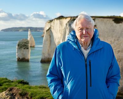 Attenborough’s Ocean is the film I’ve been waiting my whole career for – now the world must act on its message