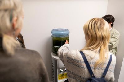 Blue-green algae from Lough Neagh displayed during Belfast Photo Festival