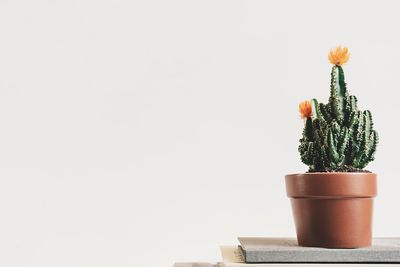 10 Times Minimalism Became a Maximum Waste of Money