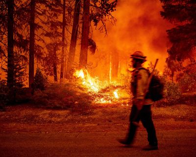 Trump to merge wildland firefighting forces, despite warning of chaos