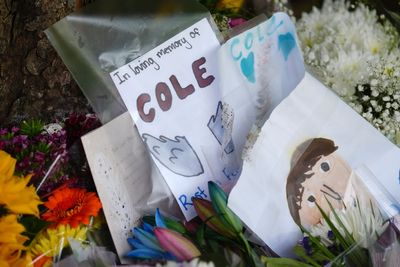 Body found in wooded area identified as missing teenager