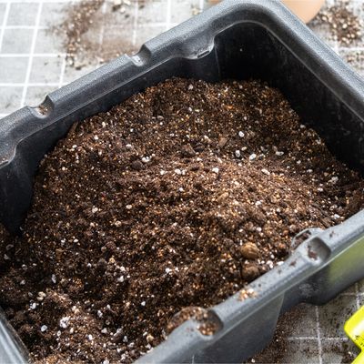 The two key soil improvers you need to know about when sowing and potting up plants – here’s how to choose the right type