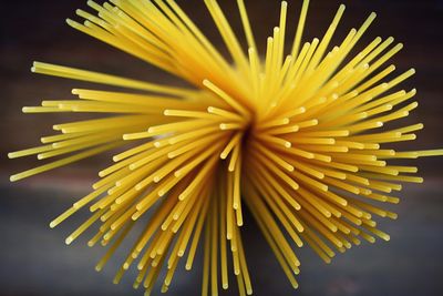 Why Store-Brand Pasta Often Rivals Name Brands in Quality (8 Things to Know)
