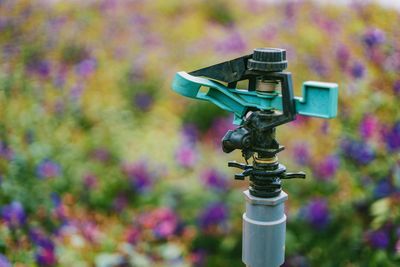 This Unusual Watering Schedule Is Saving Gardens During Heatwaves