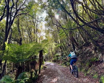 Remote and accessible: cycling New Zealand’s West Coast Wilderness Trail