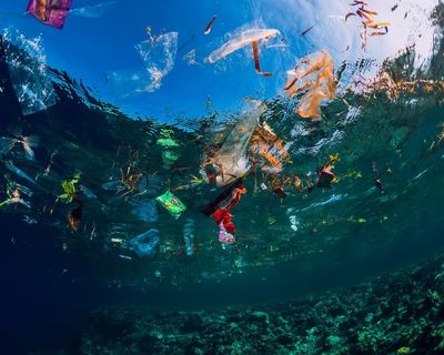 Plastics campaigners warn Australia’s pledge at UN needs to be matched with ‘high ambition at home’