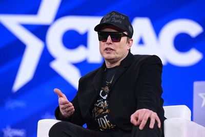 What Elon Musk wore to the White House foreshadowed his downfall