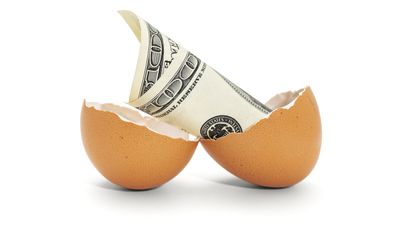 Four Ways to Help Prevent a Market Downturn From Scrambling Your Nest Egg